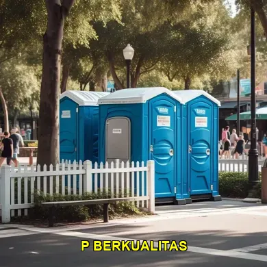 p berkualitas